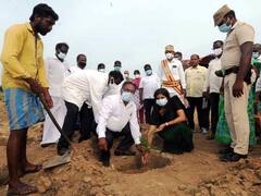 திருவாரூரில் தொடங்கப்பட்ட பசுந்தீவன அபிவிருத்தி திட்டம் - தீவன தட்டுப்பாட்டை குறைக்க உதவுமா?