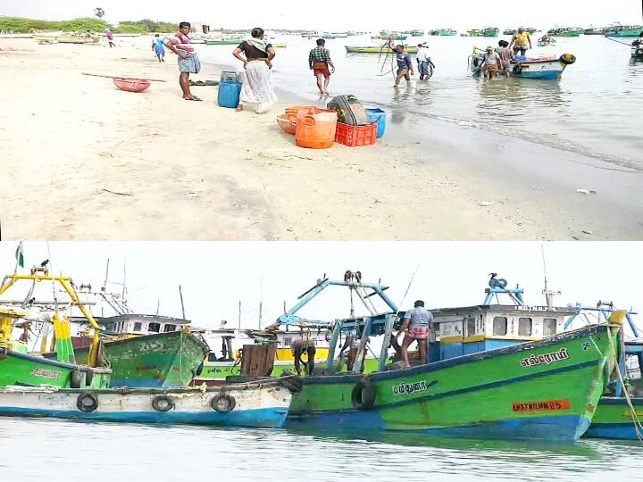 6 tonnes of fish seized from 3 fishermen in Rameswaram ராமேஸ்வரத்தில் இரட்டை மடி வலை பயன்படுத்திய 3 மீனவர்களிடம் இருந்து 6 டன் மீன்கள் பறிமுதல்