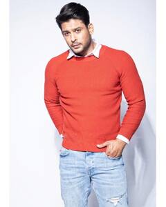 Sidharth Shukla: ভালোবাসতেন খেলাধুলো, বিগ বসের ঘরে মায়ের জন্য মনখারাপ হত সিদ্ধার্থের