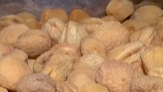 અફઘાનિસ્તાનમાંથી સૂકા મેવાની આવક શરૂ, ભાવમાં થયો ઘટાડો