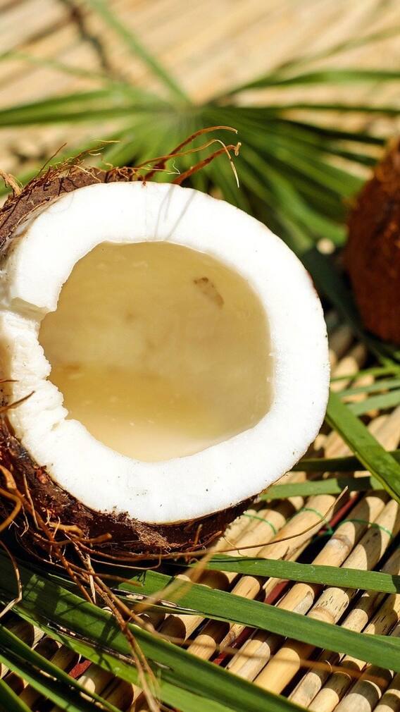 World Coconut Day: How South India Became Largest Contributor Of The Nut And Its Significance In Households