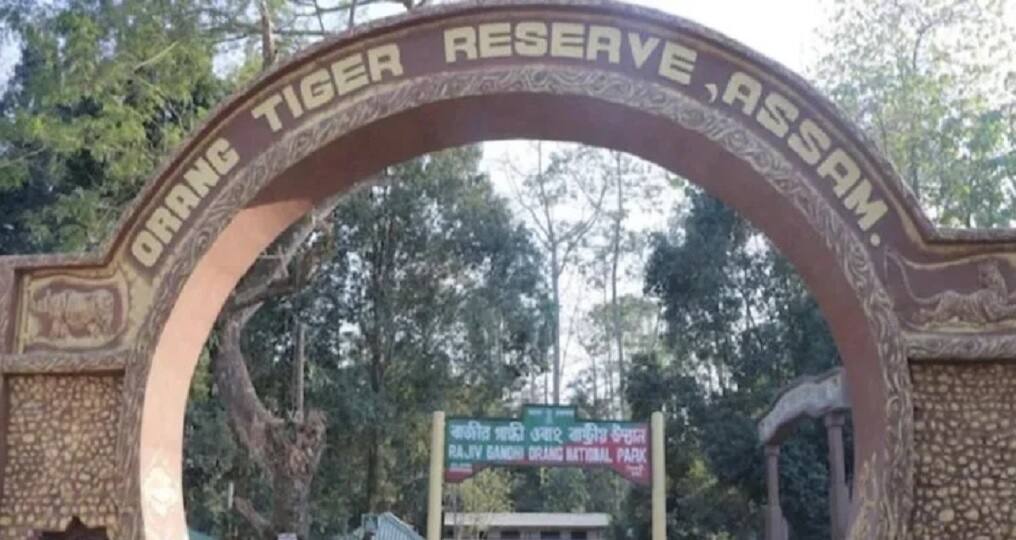 Rajiv Gandhi National Park in Assam will be named Orang National Park Congress MP retaliates असम में राजीव गांधी राष्ट्रीय पार्क का नाम होगा ओरंग राष्ट्रीय उद्यान, नाम बदलने पर कांग्रेस सांसद ने किया पलटवार