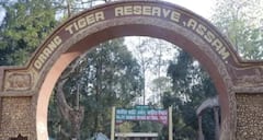 असम में राजीव गांधी राष्ट्रीय पार्क का नाम होगा ओरंग राष्ट्रीय उद्यान, नाम बदलने पर कांग्रेस सांसद ने किया पलटवार