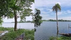 North 24 Pargana: ভ্রমণ পিপাসু বাঙালির নতুন ঠিকানা উত্তর ২৪ পরগনার পাঁচপোতা বাওর