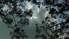 Weather Update: বঙ্গোপসাগরে নিম্নচাপের জেরে আগামী সোমবার দক্ষিণবঙ্গে বৃষ্টির পূর্বাভাস | Bangla News