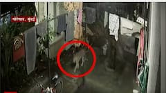 Mumbai : गोरगाव आणि बिंबीसार परिसरात बिबट्याची दहशत, बिबट्याच्या हल्ल्यात दोन जण गंभीर जखमी