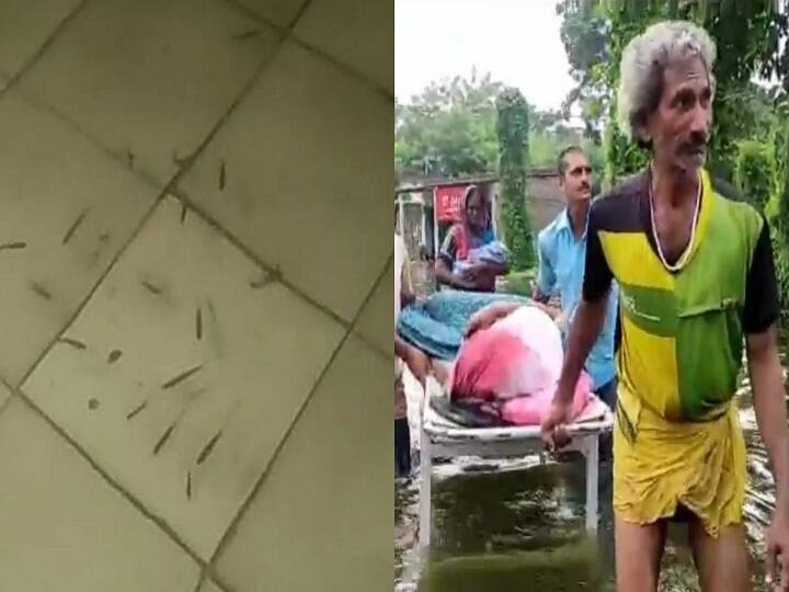 Bihar Flood: Fish floating in the ward of the lalganj referral hospital, trouble in treating serious patients ann Bihar Flood: रेफरल अस्पलात के वार्ड में तैर रही मछलियां, गंभीर मरीजों के इलाज में हो रही परेशानी 