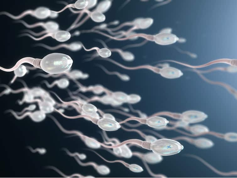 Researchers Show How Air Pollution Reduces Sperm Count ਸਾਵਧਾਨ! ਹਵਾ ਪ੍ਰਦੂਸ਼ਣ ਨਾਲ ਕਿਵੇਂ ਘਟਦੀ ਸ਼ੁਕਰਾਣੂਆਂ ਦੀ ਗਿਣਤੀ? ਵਿਗਿਆਨੀਆਂ ਨੇ ਕੀਤਾ ਦਾਅਵਾ  