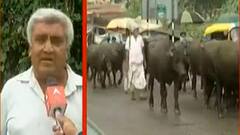 અમદાવાદનાં બારેજામાં જમીન પર કરાયેલા દબાણ મામલે કલેક્ટરને ફરિયાદ, જુઓ ગુજરાતી ન્યૂઝ