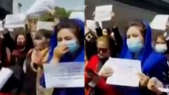 Afghanistan: তালিবানি শাসনে নিজেদের অধিকার সুরক্ষার দাবিতে কাবুলে বিক্ষোভে আফগান মহিলারা | Bangla News