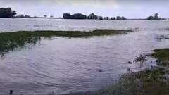 Gorakhpur : नदियों में उफान से 300 गांव प्रभावित | ABP Ganga Hindi