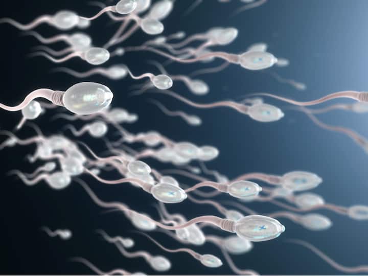 Researchers Show How Air Pollution Reduces Sperm Count, know in details Health Alert: वायु प्रदूषण इस तरह घटाता है आपका स्पर्म काउंट, जानिए विस्तार से
