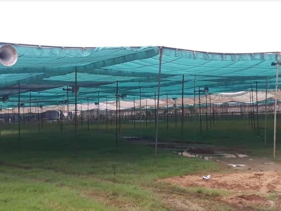 Muzaffarnagar: 5 सितंबर को संयुक्त किसान मोर्चा की महापंचायत, सात लाख किसानों के पहुंचने की उम्मीद Muzaffarnagar: 5 सितंबर को संयुक्त किसान मोर्चा की महापंचायत, सात लाख किसानों के पहुंचने की उम्मीद