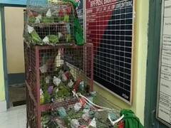 Jharkhand News: RPF ने सैकड़ों तोते के साथ दो तस्करों को किया गिरफ्तार, बंगाल ले जाने की थी तैयारी 