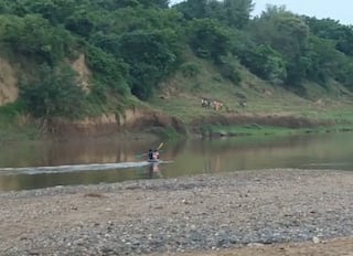 Vadodara : ઓરસંગ નદીમાં પુત્રની નજર સામે જ પિતાને તાણી ગયો મગર, લોકોમાં ફેલાયો ફફડાટ