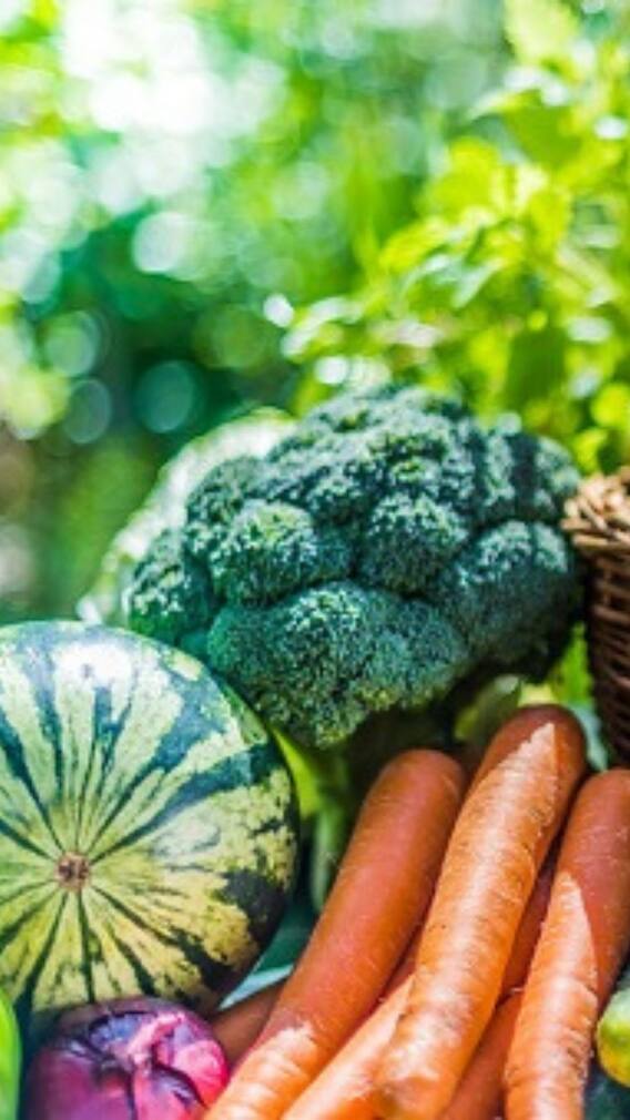 খাদ্যতালিকায় রাখুন এই ১০ সব্জি