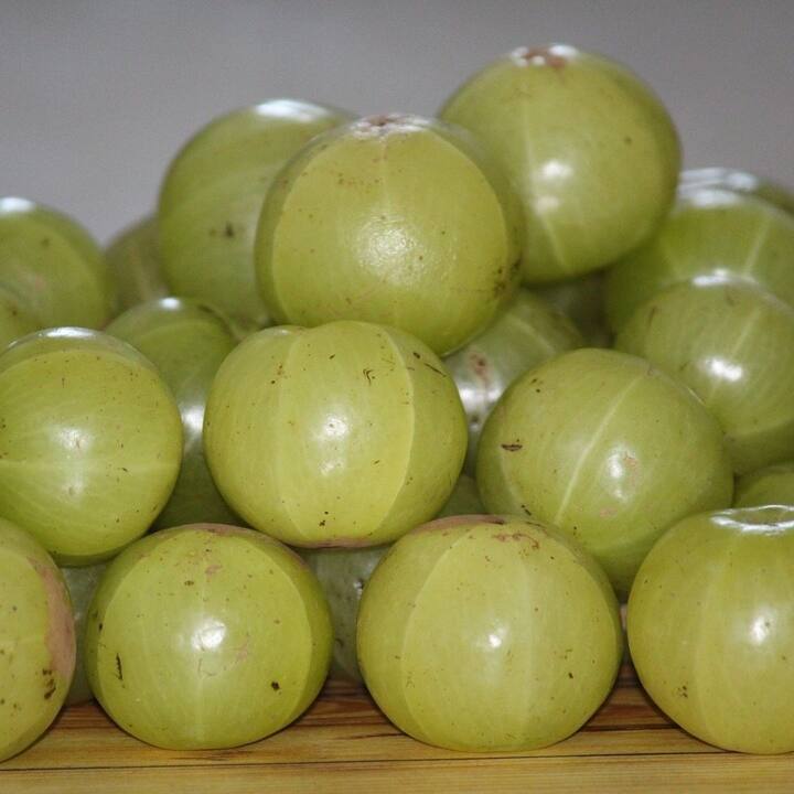 ভিটামিন-সি-তে সমৃদ্ধ আমলা। রোগপ্রতিরোধ ক্ষমতা বাড়াতে সাহায্য করে(ছবি সৌজন্যে : Pixabay)