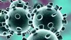 Darjeeling: করোনা পরিস্থিতিতে উত্তরবঙ্গের স্বাস্থ্য পরিকাঠামো নিয়ে শাসকদের নিশানা বিরোধীদের