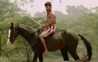 Karnan movie fame horse alex passed away director mari selvaraj shares message Karnan Horse:‛‛போய் வா அலெக்ஸ்” - கர்ணன் குதிரைமறைவு: மாரி செல்வராஜ் உருக்கம்!