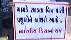 ખેડૂતોને પોષણક્ષમ ભાવ ન મળતા ભારતીય કિસાન સંઘ આક્રમક મૂડમાં, દેશ વ્યાપી કરશે ધરણાં
