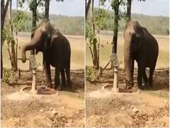 Viral Video: प्यासे हाथी का ये वीडियो आपको इमोशनल कर देगा, हैंडपंप चलाकर बुझाई अपनी प्यास