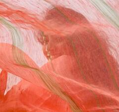 Sai Pallavi Photos: కల్లోని గాంధర్వ కన్యే విహరించేనా భూలోకంలో..సాయిపల్లవిని ఇలా చూస్తే మనసు పడి పడి లేవదా మరి..