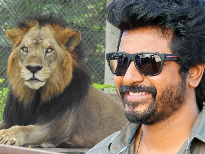 actor Sivakarthikeyan adopts elephant and lion at Vandalur zoo வண்டலூர்  பூங்கா யானை மற்றும் சிங்கத்தை தத்தெடுத்த நடிகர் சிவகார்த்திகேயன்!
