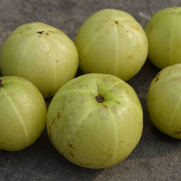 একাধিক সংক্রমণ ও রোগের বিরুদ্ধে লড়াইয়ে সাহায্য করে(ছবি সৌজন্যে : Pixabay)