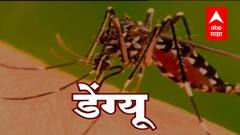 Amaravati :अमरावती जिल्ह्यात डेंग्यु, मलेरिया आणि हिवतापाने कहर ; एका बेडवर 2 - 3 रुग्णांवर उपचार