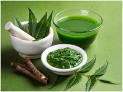 ऑर्गेनिक टूथब्रश के तौर पर अमेरिकी बाजार में नीम के दातून की धूम, दाम सुनकर आप रह जाएंगे दंग