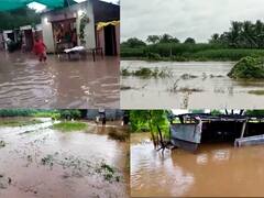 Maharashtra Rain : राज्यात पावसाचं धुमशान, अनेक ठिकाणी नद्यांना पूर, शेतकऱ्यांचं मोठं नुकसान