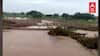 Beed Heavy Rain : बीडमध्ये दोन दिवसांपासून जोरदार पाऊस,  अमृता आणि गोदावरी नदी तुडुंब
