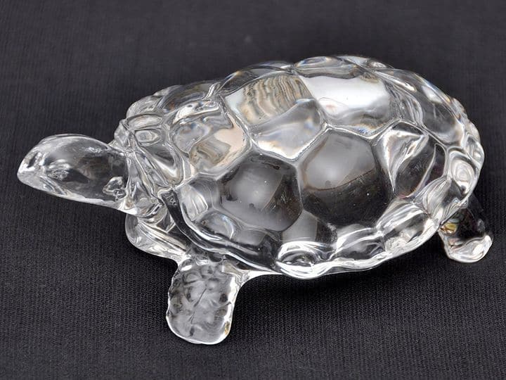 vastu shastra tips using this tortoise in home and office can change your luck Vastu Tips: घर में रखी कछुए की मूर्ति बना सकती है आपको धनवान, बस इस बात का ध्यान रखना है जरूरी
