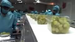 Afghanistan crisis: Here's how Dry Fruit prices shoot up in India | Raj Ki Baat