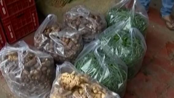 ગાંધીનગરઃ શાકભાજી પકવતા ખેડૂતોને પોષણક્ષમ ભાવ ન મળતા હાલાકી, સાંભળો ખેડૂતોની વ્યથા