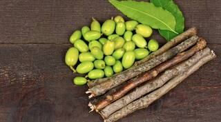 ਅਮਰੀਕੀ ਬਾਜ਼ਾਰ 'ਚ ਜੈਵਿਕ ਟੁੱਥਬ੍ਰਸ਼ ਵਜੋਂ ਵਿਕ ਰਹੀ ਨਿੰਮ ਦੀ ਦਾਤਣ, ਕੀਮਤ ਸੁਣ ਤੁਸੀਂ ਵੀ ਹੋ ਜਾਓਗੇ ਹੈਰਾਨ