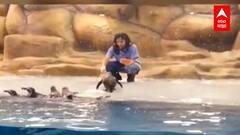 Mumbai : सात पेंग्विनवरती महिन्याला 42 लाखांचा खर्च, काँग्रेसचा आक्षेप