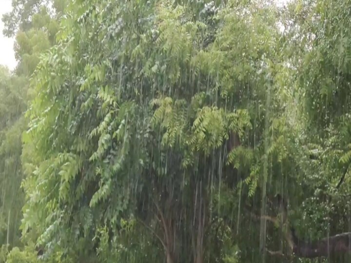 Rain Update | காஞ்சிபுரம், செங்கல்பட்டு மற்றும் சென்னை புறநகர் பகுதிகளில் கனமழை..!