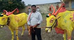 Bail Pola Special : 'सर्जा-राजा'कडूनही कोरोना जनजागृती, पोळ्यानिमित्त बैलांची खास सजावट, दिला अनोखा संदेश