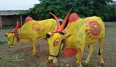 Bail Pola Special : 'सर्जा-राजा'कडूनही कोरोना जनजागृती, पोळ्यानिमित्त बैलांची खास सजावट, दिला अनोखा संदेश