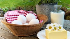 Health: সুস্বাদু ও প্রোটিনে ভরপুর ১০ খাবারের সন্ধান