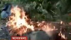 Tripura: ত্রিপুরায় দফায় দফায় CPM-BJP সংঘর্ষ, মানিক সরকারের গাড়িতে ‘হামলার চেষ্টা’ | Bangla News