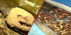 Hilsa Festival: ইলিশের পোলাও থেকে পাতুড়ি, ৪০০ টাকার বিনিময়ে পেটপুরে রকমারি পদের বাহার