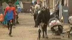 મારૂ શહેર મારી વાત: અમદાવાદનાં હાટકેશ્વર વિસ્તારમાં પાણીની સમસ્યાથી લોકો પરેશાન, જુઓ ગુજરાતી ન્યૂઝ