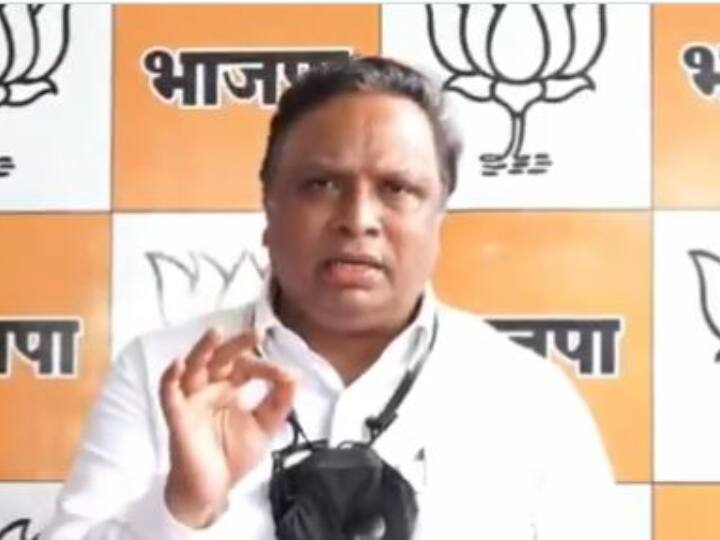 cm should filed fir and probe against nawab malik says bjp leader ashish shelar मुख्यमंत्र्यांनीच मलिक यांच्याविरोधात FIR दाखल करावा; भाजपची मागणी