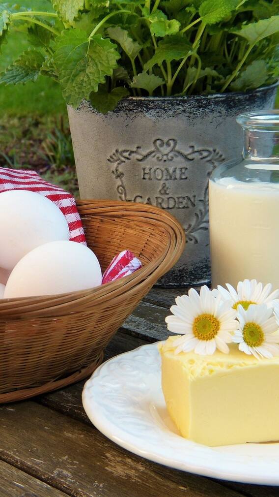 ১০টি প্রোটিনে ভরপুর সুস্বাদু খাবার