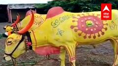 Rural News : गावागावातील बातम्यांचा वेगवान आढावा, तुमच्या गावात आज काय घडलं? माझं गाव माझा जिल्हा