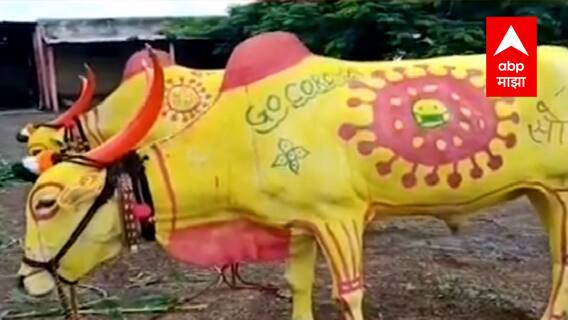 Rural News : गावागावातील बातम्यांचा वेगवान आढावा, तुमच्या गावात आज काय घडलं? माझं गाव माझा जिल्हा