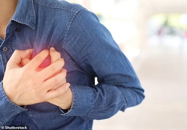 હૃદય રોગ અને હાર્ટ અટેકથી બચાવા માટે આ આહારને ડાયટમં કરો સામેલ, જાણો શું છે સ્ટડીનો દાવો add these food in diet for protect yourself form heart attack હૃદય રોગ અને હાર્ટ અટેકથી બચાવા માટે આ આહારને ડાયટમં કરો સામેલ, જાણો શું છે સ્ટડીનો દાવો