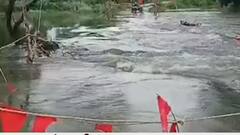 पहाड़ों पर लगातार हो रही बारिश से बढ़ा गंगा का जलस्तर, फसलों को भारी नुकसान | Hindi News